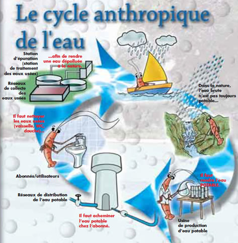Le cycle anthropique de l'eau